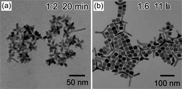 Effect of stabiliser concentration on nanoparticle morphology. TEM images of platinum nanoparticles obtained at a Pt(ii) : ACA molar ratio of (a) 1 : 2 and (b) 1 : 6. (Reproduced from J. Phys. Chem. C, 2007, 111, 14312, copyright 2007 American Chemical Society.)