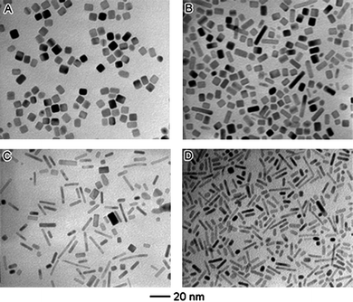 Effect of the type and concentration of reducing agent on the formation of 1-D nanoparticles. TEM images of palladium nanoparticles obtained from co-reduction of Na2PdCl4 by poly(vinyl pyrrolidone) and ethylene glycol (EG), with varying volume percent of EG: (A) 0%, (B) 9.1%, (C) 45.5%, and (D) 72.7%. (Reproduced from J. Am. Chem. Soc., 2007, 129, 3665, copyright 2007 American Chemical Society.)
