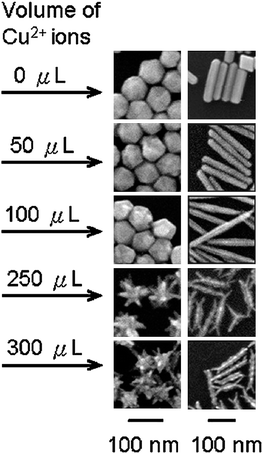 Effect of subtle increase in the concentration of foreign species (Cu2+ ions) on the formation of rod-like and branched nanostructures. SEM images of palladium nanoparticles showing formation of nanorods with increased aspect ratios and branched nanostructures under the influence of Cu2+ ions in trace amount. (Reproduced from J. Am. Chem. Soc., 2009, 131, 9114, copyright 2009 American Chemical Society.)