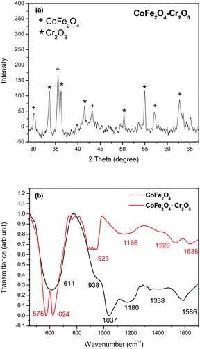 (a) XRD pattern and (b) FT-IR spectra of the as-prepared CoFe2O4–Cr2O3 particles.