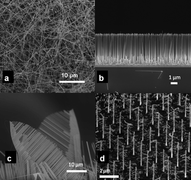 Oxide nanowire networks and their electronic and optoelectronic  characteristics - Nanoscale (RSC Publishing) DOI:10.1039/C0NR00285B