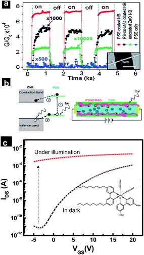 (a) UV response of ZnO nanobelts coated with different polymers. (b) Schematic illustration of carrier photogeneration and transport processes in PSS-coated ZnO nanobelts (reproduced from ref. 138 with permission. Copyright 2007 American Chemical Society). (c) Photocurrent effect on transfer characteristics of SnO2 nanowire network transistors sensitized by Z907 dye. The structure of the dye is provided in the inset.