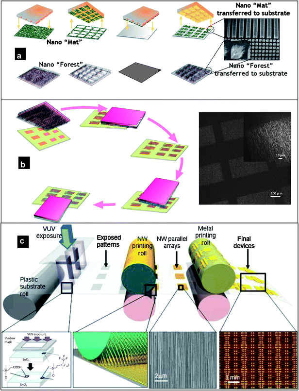 (a) Transfer of nanowire networks (nanomats or nanoforests) through poly(dimethylsiloxane) intermediation (reproduced from ref. 85 with permission. Copyright 2008 Institute of Physics). (b) (Left) schematic illustrating the process flow for selectively patterning substrates with crossed-nanowire networks (reproduced from ref. 86 with permission. Copyright 2010 Springer-Verlag), (right) patterned nanowire networks of SnO2 fabricated through contact printing on to a patterned photoresist followed by lift-off. (c) Schematic of an envisioned roll-to-roll printing set-up. The process involves patterning of a fluorinated monolayer of the receiver substrate to define “sticky” and “non-sticky” regions for contact printing. Following the printing of nanowire active components, devices are fabricated by defining the source/drain and gate electrodes (reproduced from ref. 87 with permission. Copyright 2009 Wiley-VCH).