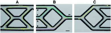 Navigating a nanosub in a complex microfluidic channel using an external magnetic field. Tracks of the directed nanosub movement within a microfabricated channel network. (A) Motion of an Au/Ni/Au/Pt-CNT nanomotor manoeuvring around the central portion of a PDMS microstructure; (B) Motion of the same nanowire over four different paths (a–d) beginning from the same starting point (SP); (C) Motion of a nanomotor in a mixed peroxide/hydrazine fuel. Fuels, 5 wt% H2O2 (A, B); 2.5 wt% H2O2/0.15 wt% hydrazine (C). Scale bar, 25 μm. Reprinted with permission from ref. 28.