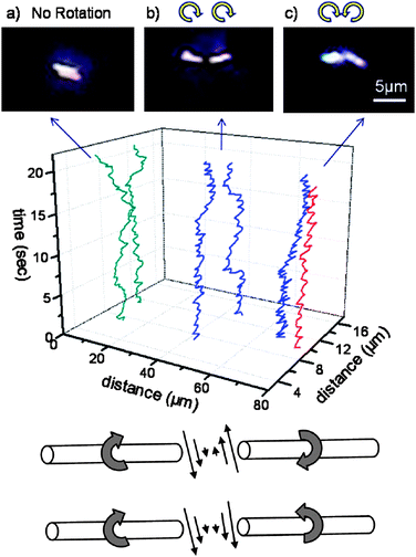 Collective behavior of nanosubs. (Top) Two-dimensional trajectories of nanosub pairs and corresponding optical images at their closest center-to-center distances: (a) unpowered nanosubs in deionized water; (b) nanosubs rotating in the same direction in 15% H2O2; (c) oppositely rotating rods in 15% H2O2. The z-axis represents time, and the x- and y-coordinates represent the position of the center of each rod. (Bottom) Schematic drawing of the fluid velocity distribution between the tips of the nanosubs. Reprinted with permission from ref. 34.