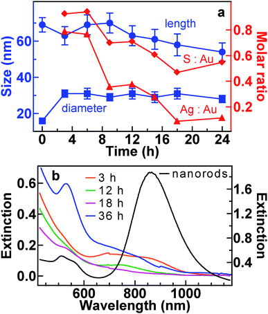 (a) Variations in the length, middle diameter, and elemental molar ratios of the hybrid nanostructures versus the hydrothermal time. (b) Extinction (Hitachi U-3501 UV–visible/NIR spectrophotometer) spectra of the starting Au nanorods (right axis) and the nanostructures (left axis) obtained after varying periods of the hydrothermal time. For the extinction spectral measurements, 1 mL of each sample solution was transferred to a quartz cuvette with an optical path length of 0.5 cm.