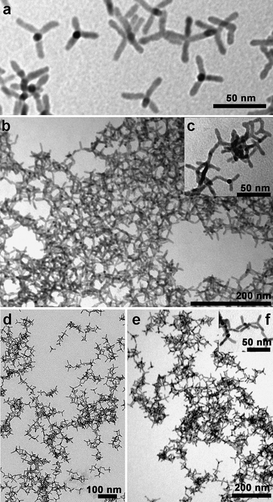 Phototransport in networks of tetrapod -shaped colloidal 