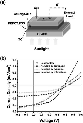 (a) Schematic of the photovoltaic device structure. The active layer consists of a bilayer of either tetrapods or networks, and fullerene (C60). (b) Current–voltage characteristics for photovoltaic cells made with non-assembled pyridine-coated tetrapods, and with networks prepared with acetic acid, hydrazine and chlorosilane, respectively, under illumination of one-sun (AM 1.5 G).