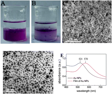 (A) The biphasic mixture with a colorless diethyl ether phase on top and a wine-red (DMF–H2O) phase containing (P4VP-PS-P4VP)n-capped Au nanoparticles below. (B) The (P4VP-PS-P4VP)n-capped Au nanoparticles were interfacially entrapped at the (DMF–H2O)/diethyl ether interface after stirring, forming a stable thin film. (C) TEM image of the thin film of (P4VP-PS-P4VP)n-capped Au nanoparticles at low magnification. (D) TEM image of the thin film of (P4VP-PS-P4VP)n-capped Au nanoparticles at higher magnification. (E) The UV-vis spectra of the thin film of (P4VP-PS-P4VP)n-capped Au nanoparticles on glass (red line) and the as-prepared Au nanoparticles in DMF solution (black line).