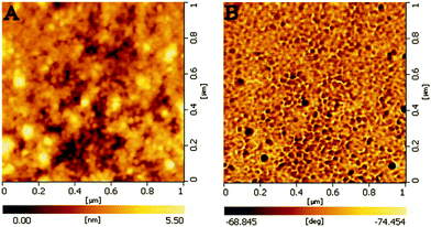 Typical AFM images of the thin film of (P4VP-PS-P4VP)n-capped Ag NPs. (A) morphology image and (B) phase image.