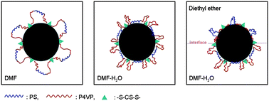 Possible mechanism of the interfacial assembly of Au nanoparticles at the (DMF–H2O)/diethyl ether interface induced by the amphiphilic multiblock copolymer