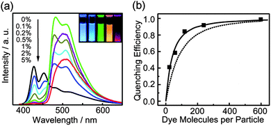 (a) Concentration-dependent fluorescence spectra of PDHF nanoparticles doped with Coumarin 6. Inset: photograph of fluorescence emission from aqueous suspensions of the dye-doped PDHF nanoparticles taken under UV lamp excitation (365 nm). From left to right: neat PDHF, PDHF doped with 2% perylene, PDHF doped with 2% Coumarin 6, PDHF doped with 5% Nile Red, and PDHF doped with 5% TPP. (b) Quenching efficiency as a function of the number of Coumarin 6 molecules per 15 nm dia. PDHF nanoparticle. The squares are experimental results, while the dotted curves represent the predicted energy transfer efficiency assuming only Förster energy transfer model, while the solid curves represent the results of the combined exciton diffusion and Förster transfer model. Reproduced with permission from ref. 19. Copyright American Chemical Society, 2008.