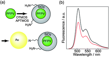 (a) Scheme demonstrates the functionalization of CPNs with amine groups and the subsequent assembly of CPNs with Au nanoparticles. (b) Fluorescence emission spectra of PFPV CPNs and CPN-Au assemblies. Reproduced with permission from ref. 27. Copyright American Chemical Society, 2006.