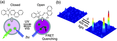 (a) Schematic representation demonstrating photoswitching and FRET-based fluorescence ON/OFF modulation of spironaphthoxazine-containing CPNs. (b) Single particle photoswitching of the spironaphthoxazine nanoparticles doped with the conjugated polymer PFBT. Excitation at 405 nm diode laser is used to both induce the switching to “OFF” state and to excite fluorescence. The fluorescence from single particles was rapidly switched off in a few tens of millisecond under continuous laser illumination. The “ON” state recovers after turning off the laser for a few seconds at room temperature.