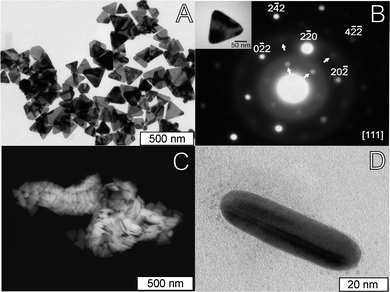 Electron microscopy images of Au nanoparticles obtained with a SnP concentration of 9.3 nM. (A) TEM image; (B) Selected area electron diffraction (SAED) pattern of a single nanotriangle (inset: TEM image of the nanotriangle used) showing the typical {220} reflections (marked in the Figure), and inner circle spots corresponding to forbidden 1/3 {422} reflections (arrows); (C) representative SEM image of a sample obtained in similar synthetic conditions; (D) TEM image of a cross-section view of a single nanotriangle showing the characteristic bright/dark contrast of adjacent twin domains.
