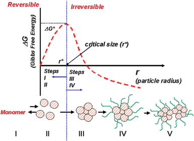 Schematic diagram of the nucleation and growth process showing the five stapes and the dependence of the Gibbs free energy (G) on the crystal size. Bellow a critical radius (r*), a reversible process occurs; for r > r* the process becomes irreversible.