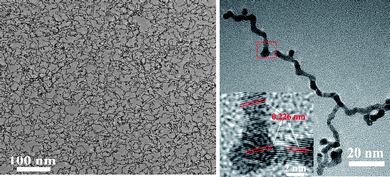 TEM and HRTEM images of Rh/Pt ultrathin nawires. Reproduced with permission from ref. 42. Copyright 2010 American Chemical Society.