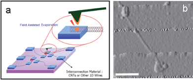 (a) Schematic diagram of nanosoldering with atomic force microscope based field evaporation. (b) AFM image of Ni nanojunctions generated by field evaporation of metal from a AFM tip followed by rapid thermal annealing at 470 °C for 30 s. The scale bars equal 300 nm.78