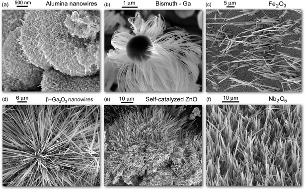 Representative inorganic nanowires synthesized in laboratories of the authors of this article using reactive plasmas. Nanowires (a), (b), (d), and (e) are synthesized through the SLS mechanism using molten microparticles whereas nanowires (c) and (f) are synthesized by direct exposure of iron (c) and niobium (f) foils to reactive oxygen plasmas, through the VSS mechanism. All images except (b) represent metal oxide nanowires.