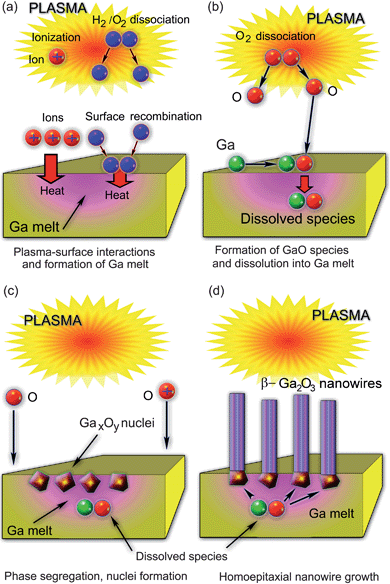 Growth kinetics of GaO nanowires from gallium melt.