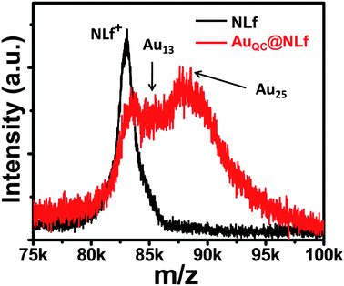 MALDI mass spectra of NLf and AuQC@NLf. Spectrum of NLf was measured at pH 12. There are two cluster features.