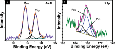 (A) Au 4f core level photoelectron spectrum of the AuQC@NLf cluster. (B) S 2p core level photoelectron spectrum of AuQC@NLf. The components are fitted. Two sets of spin–orbit split components are marked in both.