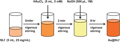 Synthetic procedure to make AuQC@NLf.