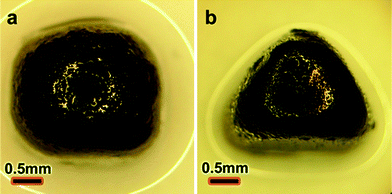 Optical images of armoured droplets of non-spherical shapes prepared by constraining the droplets' bases in PDMS molds.