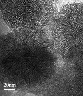 TEM image of dahlia-like SWCNHs (from ref. 15).