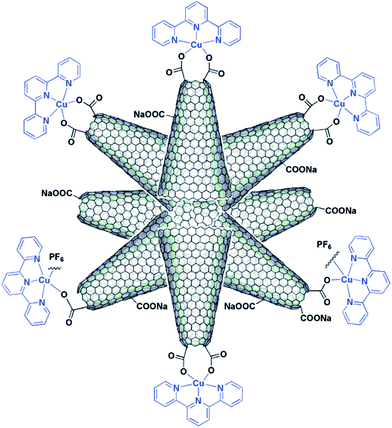 Illustrative structure of the SWCNHs-COO- CuIItpy metallo-nanocomplex (from ref. 119).