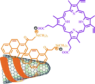 SWCNHs-pyr+- H2P2− nanoensemble (from ref. 60).