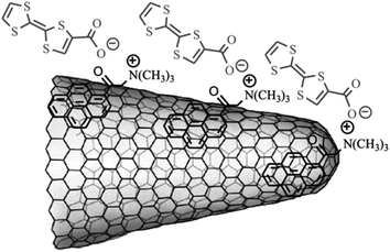 Partial structure of SWCNH-pyr+-TTF−-nanoarchitecture (from ref. 61).