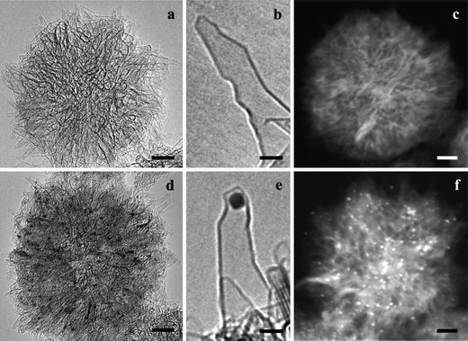 (a, b) HRTEM images of oxSWCNHs (scale bars of 10 and 2 nm, respectively). (c) Z-Contrast image of oxSWCNHs aggregate (10 nm). (d, e) HRTEM images of CDDP@oxSWCNHs (10 and 2 nm) in which black spots are cisplatin clusters. (f) Z-Contrast image of CDDP@oxSWCNHs in which bright spots are cisplatin clusters (10 nm) (from ref. 91).