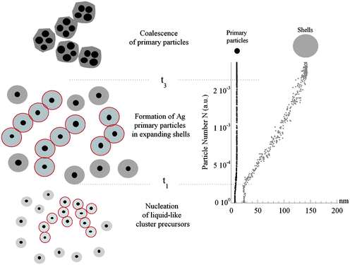 Schematic illustration of the stepwise process for the formation of silver nanocrystals. For t < t0 large ramified mass fractal objects are in the solution. At t = t0 the reduction takes place and for t < t1, we observe the nucleation of liquid-like ordered clusters (black dots in gray full circles delimited by red open circles) coexisting with random walking clusters (black dots in gray full circles). Between t1 and t3, the clusters grow up to form the cores (primary particles) of core–shell type particles. As the shell size assumes its critical value, the crossover from mass to fractal surface of template occurs, offering a signature of the coalescence of primary particles collapsing to form final colloidal particles. The particle number N as a function of the size (radius) of primary particles (black dots) and shells (gray dots) is shown in the plot (right panel).