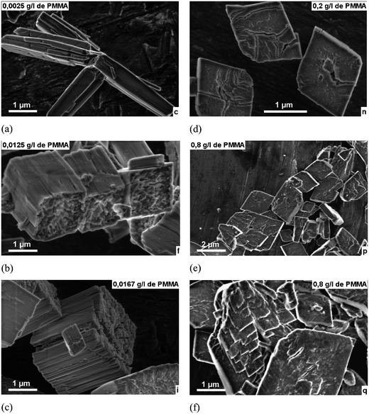 HSREM images of cobalt oxalate precipitates in the presence of different concentrations of PMMA in mg L−1(a) 2.5, (b) 12.5, (c) 16.7, (d) 200, (e) 800, (f) 800.
