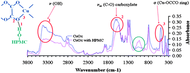 FTIR spectra for copper oxalate precipitates with and without the presence of HPMC indicating some degree of hydrogen bonding between the HPMC and copper oxalate.
