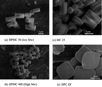 SEM micrographs showing morphological changes of copper oxlate precipitates (a) and (b) HPMCs of different molecular weights (Mw) and different functional groups: (c) methyl cellulose; (d) propyl cellulose.