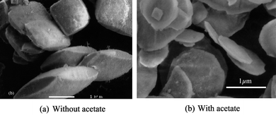 Micrographs of (a) sample 1 prepared without additive showing a cushion-like morphology; (b) sample 2 prepared in the presence of acetate showing a plate-like morphology.