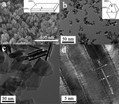 SEM (a), TEM (b and c) and HRTEM (d) images of TiO2-NSs (a, c and d) and TiO2-NPs (b) films calcined at 450 °C.