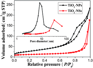 Nitrogen adsorption-desorption isotherms and the corresponding pore size distribution curves (inset) of the TiO2-NSs and TiO2-NPs powders scraped from their 450 °C calcined films.