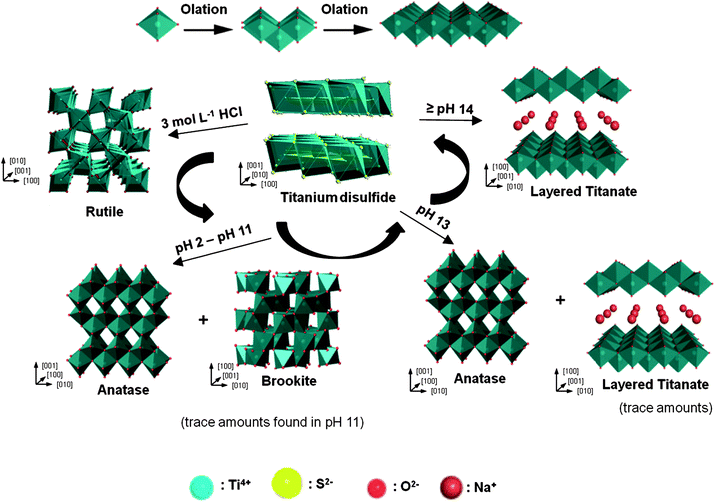 A schematic of the proposed formation mechanism of titania and titanate samples synthesized under various acidity/basicity.