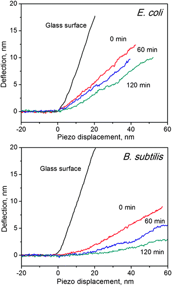 Force–distance curves of glass surface, E. coli (top) and B. subtilis (bottom), before and after incubation with SWCNTs at different time durations. Slopes indicate the hardness of the measured surface.