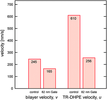 Velocities of the self-spreading bilayer and TR-DHPE in the self-spreading bilayer on the control and 82 nm Gate channels.