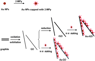 Schematic illustration of the synthesis of Au-GO and Au-rGO composites.