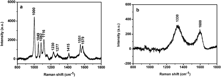 SERS spectra of the 40 nm Au NPs capped with 2-MPy (a) before and (b) after attachment to the GO surface.