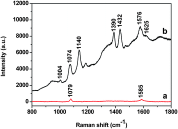 SERS spectra of PATP using (a) the 40 nm Au NPs and (b) the corresponding Au-GO composites as SERS substrates, respectively.