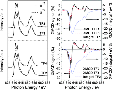 Comparison between Mn L2,3 XAS (left panel) and XMCD (right panel) spectra of TF1, TF2, TF3 and TF4 samples. The XMCD integrals (dotted curve) relative to the tpc functionalized Mn6 compounds (TF1 and TF2) are also reported. All the spectra were taken at 10 K with an applied magnetic field of 5 T.