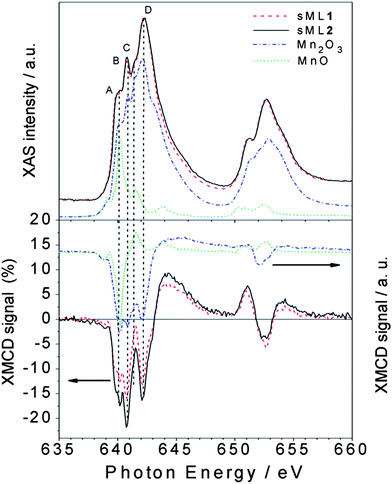 Normalized XAS (top panel) and percentage XMCD (bottom panel) spectra of sML1 and sML2 compared with those of MnIII2O3 (dash dotted curve) and MnIIO (dotted curve). The different A (640 eV), B (640.8 eV), C (641.5 eV) and D (642.2 eV) features observed in the sMLs and in the Mn2O3 are indicated (see the text).