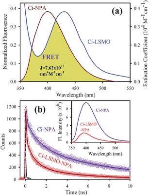 (a) shows the spectral overlap between donor (citrate–NPA) emission and acceptor (citrate–LSMO) absorption, (b) shows quenching of the donors excitation lifetime in the presence of the acceptor, inset shows steady-state quenching of the donor emission. An excitation wavelength of 320 nm and 375 nm is used for steady state and time resolved experiments, respectively.