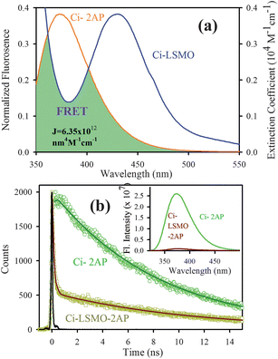 (a) shows the spectral overlap between donor (citrate–2AP) emission and acceptor (citrate–LSMO) absorption, (b) shows quenching of the donors excitation lifetime in the presence of the acceptor, inset shows steady-state quenching of the donor emission. An excitation wavelength of 300 nm is used for both experiments.